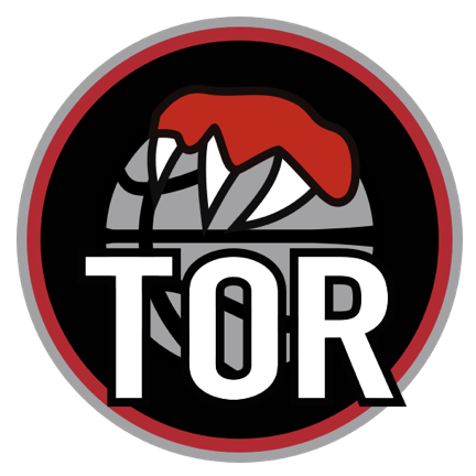 阿达纳德米尔体育